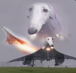 Concord.jpg