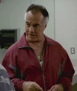 The-Sopranos-Paulie-Walnuts-Tracksuit-1.jpg