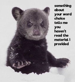 disappointed.bear.cub.jpg