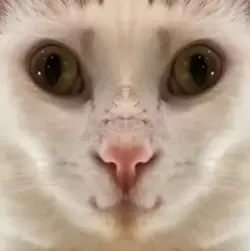 smiler.png