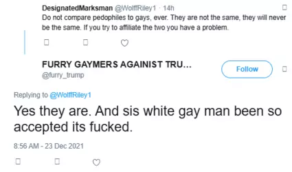 Gays to Pedophiles Comparison.png