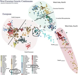 DNA clustering.jpg