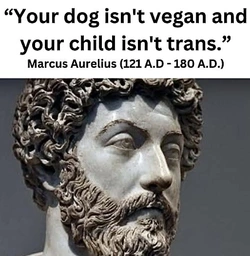 1734843302289.jpeg
