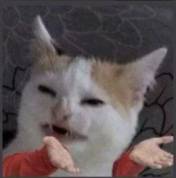 cat.shrug.jpg