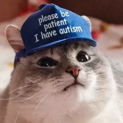 autism cat.png