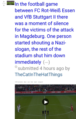 Noooo not da Nazis .jpg