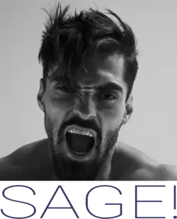 SAGE_Chad.png