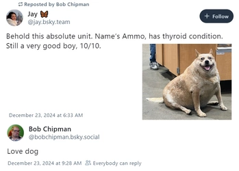 fatdog.jpg
