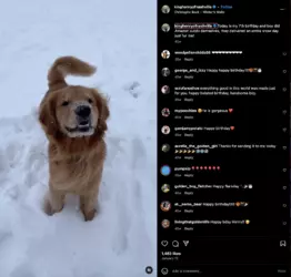 Screenshot 2024-11-29 at 13.34.18.png