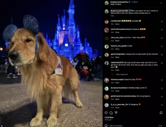 Screenshot 2024-11-29 at 13.37.18.png
