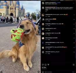 Screenshot 2024-11-29 at 13.37.51.png