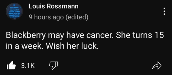 yt.jpg