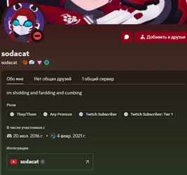 sodacat2.jpg