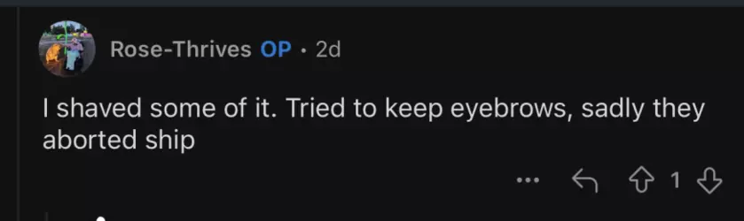 Screenshot 2024-12-24 at 00.46.17.png
