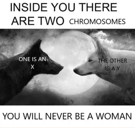 1735042810155.png
