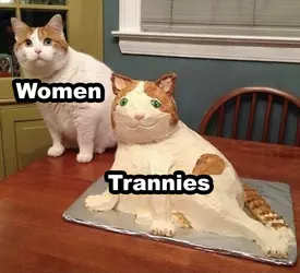 1735047579850.png