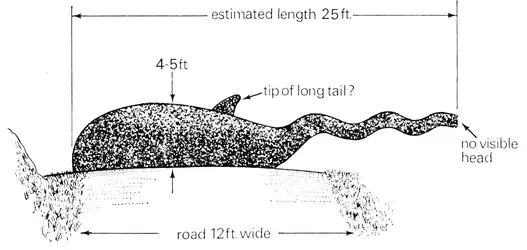 Loch Ness Monster.jpg
