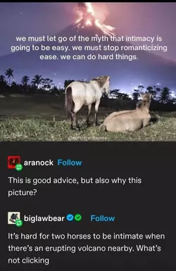 1735065582547.png