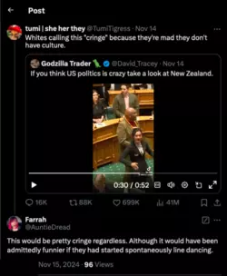 2024_11_15_Maori protest.png