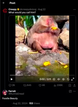 2024_08_22_Obese baboon.png