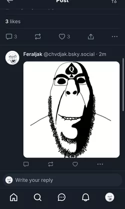 1735071568212.png