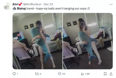Screenshot 2024-12-24 at 22-55-42 (1) blahaj - Search _ X.png