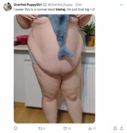 Screenshot 2024-12-24 at 22-55-28 (1) blahaj - Search _ X.png