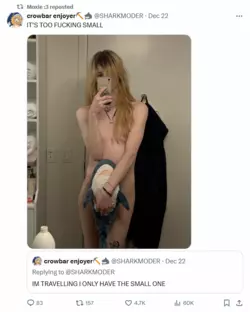 Screenshot 2024-12-24 at 22-50-22 Moxie 3 (@MoxiePogCat) _ X.png