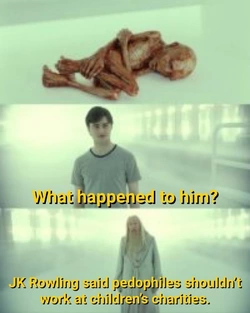 1735111160302.jpeg