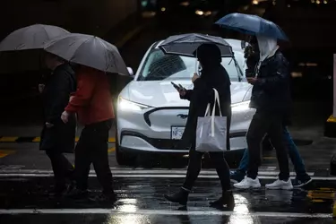 rain.webp