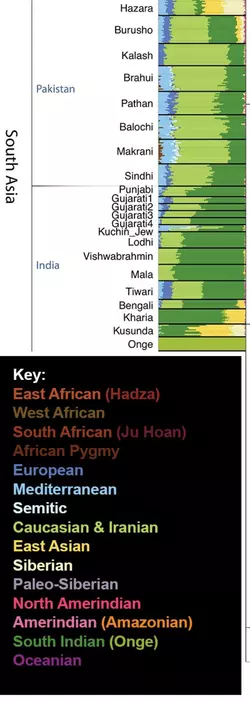 South Asia dna clusters.png