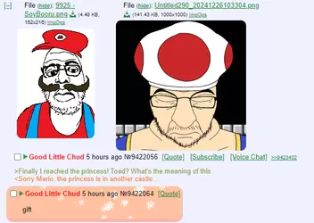1735223338436.png