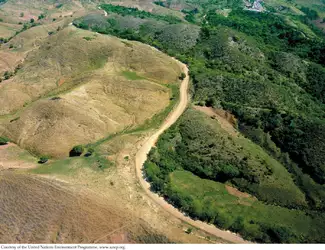 border.jpg