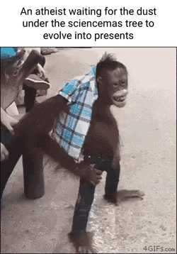 evolving presants.gif