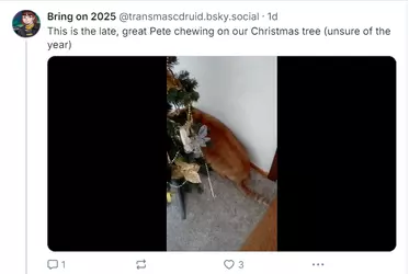 1735251607929.png