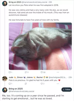 1735252617239.png 1735252617239.png