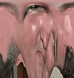 rock.gif