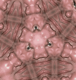 awwww23338888e44e4e33222d.gif