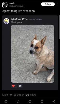 Screenshot_20241226-235653.png