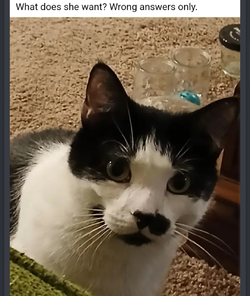 Screenshot_20241227_112727.jpg