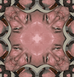 loo.gif