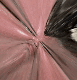 2awfa222a.gif