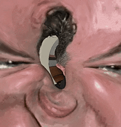 222a.gif