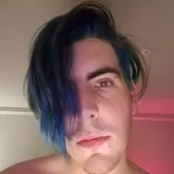 1735337208552.png