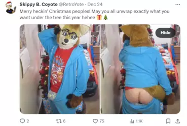1735338659352.png