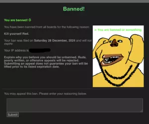 Screenshot 2024-12-28 at 3.08.35 am.png