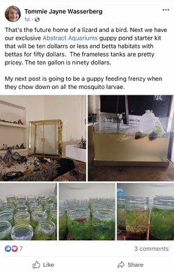 3AE3836C-2BAA-4989-8256-DAE76911D09D.jpeg