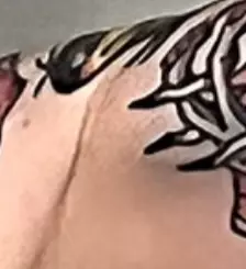 1735391488282.png