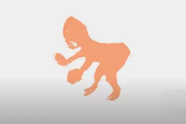 kangaroo.png