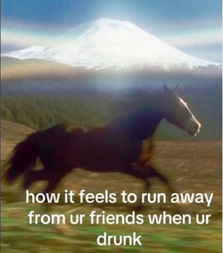 1000311440.jpg